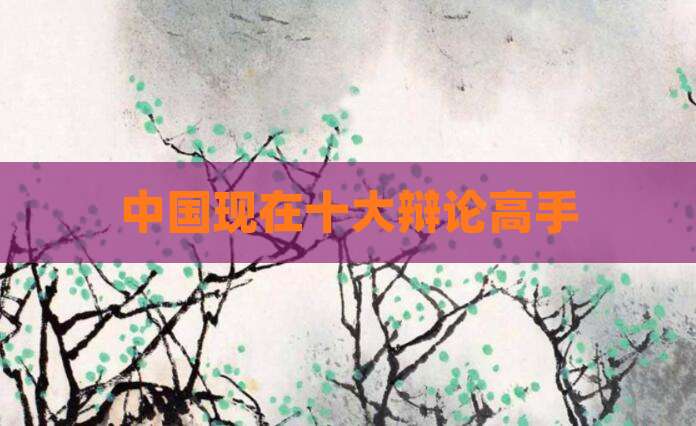 中国现在十大辩论高手