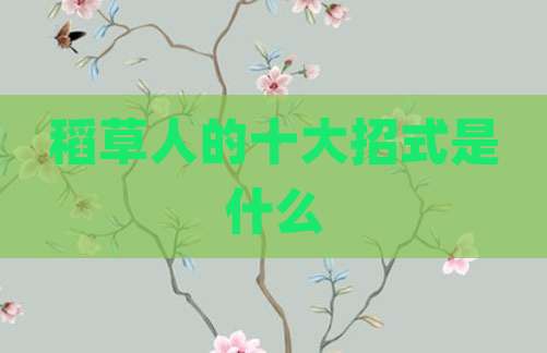 稻草人的十大招式是什么
