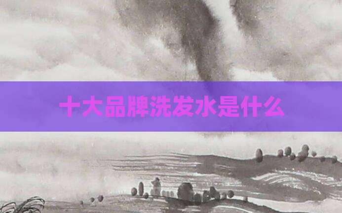 十大品牌洗发水是什么