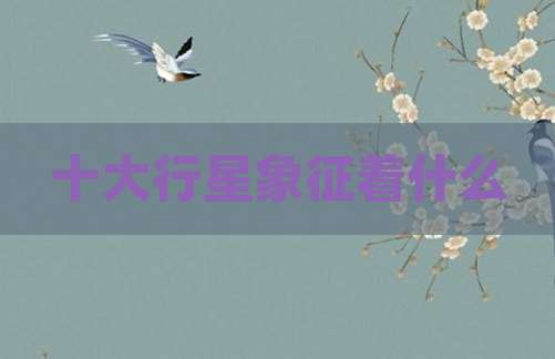 十大行星象征着什么