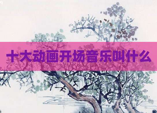 十大动画开场音乐叫什么