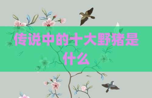 传说中的十大野猪是什么