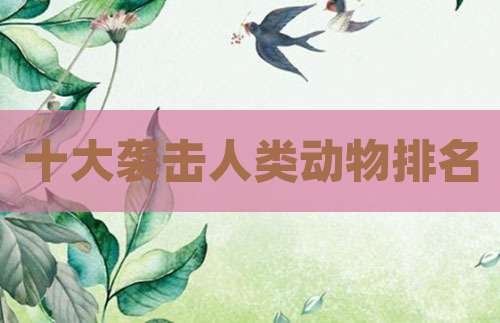 十大袭击人类动物排名