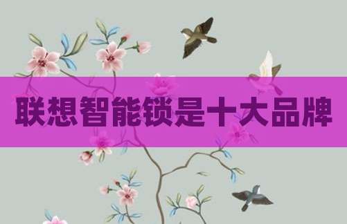 联想智能锁是十大品牌