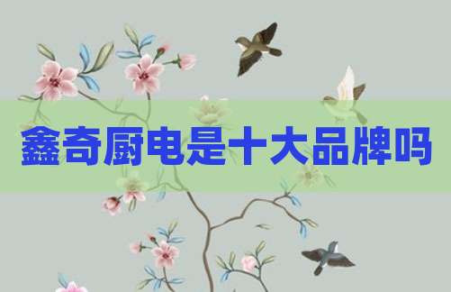 鑫奇厨电是十大品牌吗