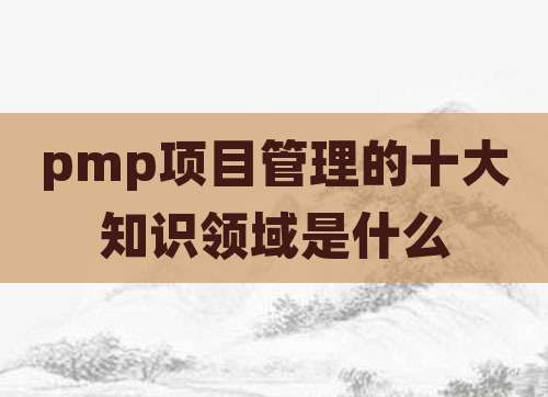pmp项目管理的十大知识领域是什么