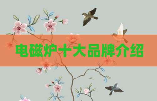 电磁炉十大品牌介绍