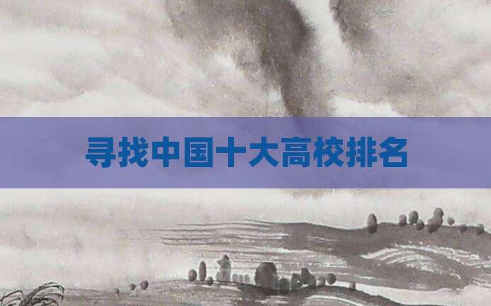 寻找中国十大高校排名