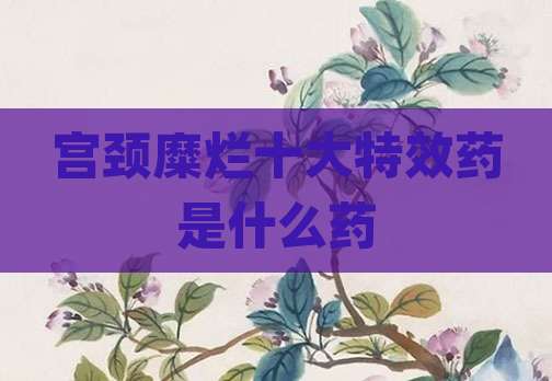 宫颈糜烂十大特效药是什么药