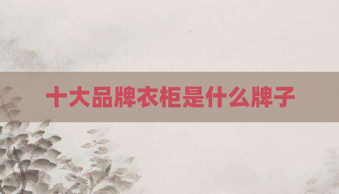 十大品牌衣柜是什么牌子