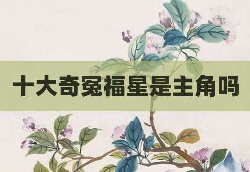 十大奇冤福星是主角吗