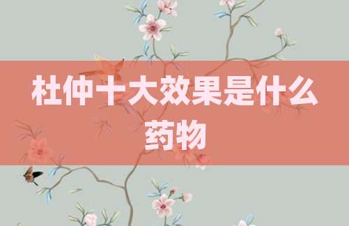 杜仲十大效果是什么药物