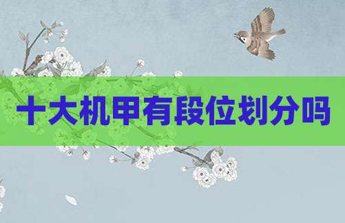 十大机甲有段位划分吗