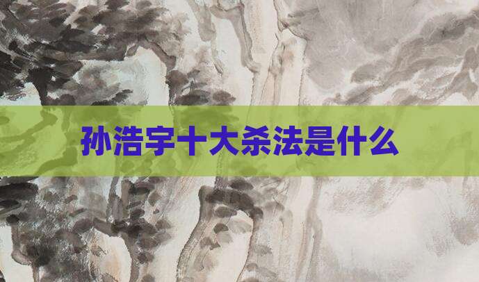 孙浩宇十大杀法是什么
