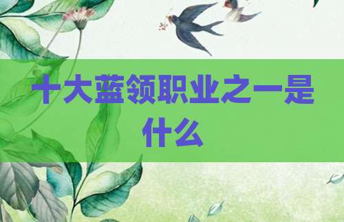 十大蓝领职业之一是什么