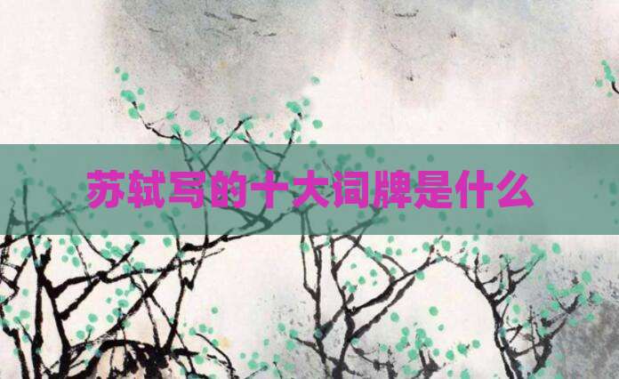 苏轼写的十大词牌是什么