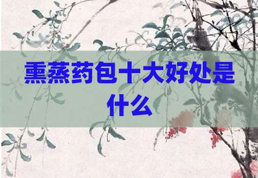 熏蒸药包十大好处是什么