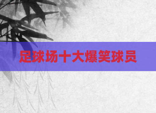 足球场十大爆笑球员