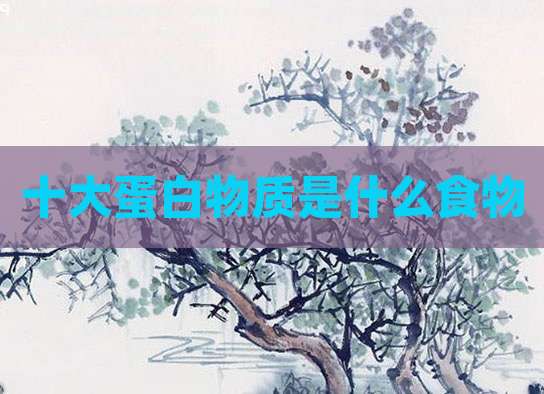 十大蛋白物质是什么食物