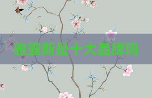 雅露斯是十大品牌吗