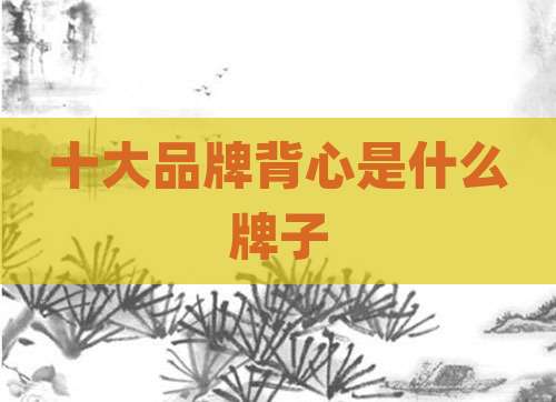 十大品牌背心是什么牌子