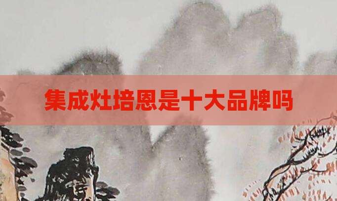 集成灶培恩是十大品牌吗