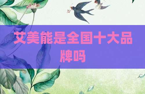 艾美能是全国十大品牌吗