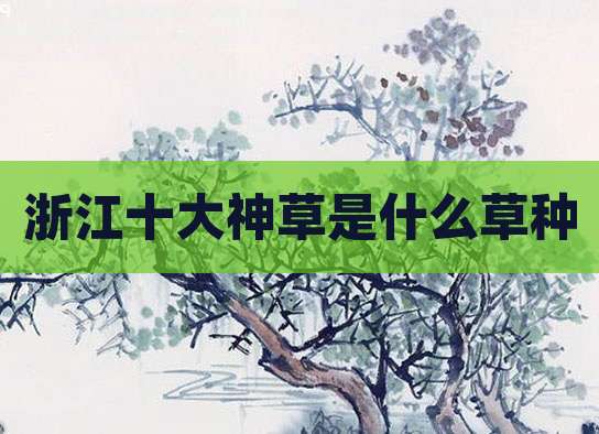 浙江十大神草是什么草种