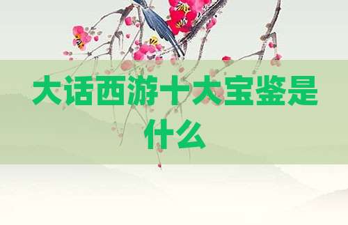 大话西游十大宝鉴是什么