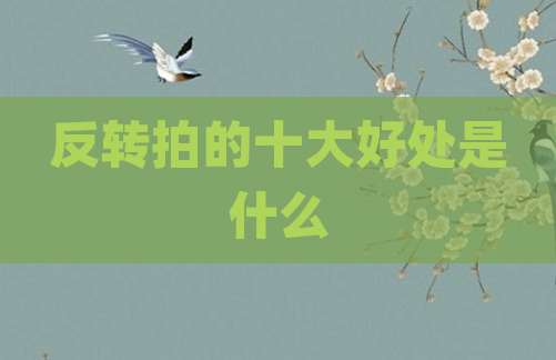 反转拍的十大好处是什么