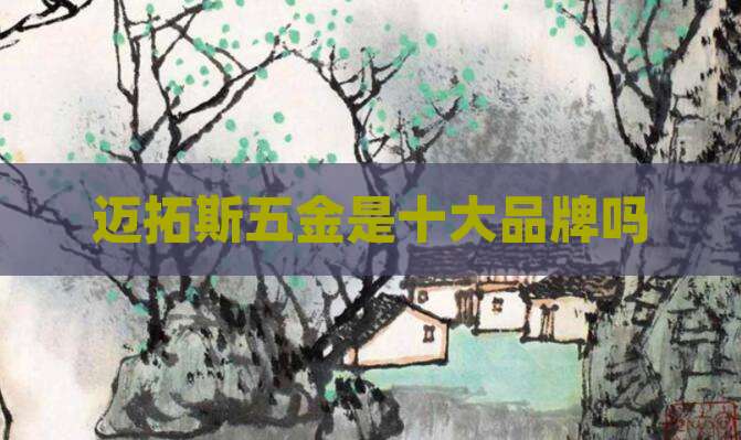 迈拓斯五金是十大品牌吗