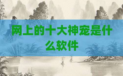网上的十大神宠是什么软件