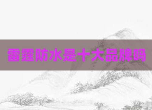 雷霆防水是十大品牌吗