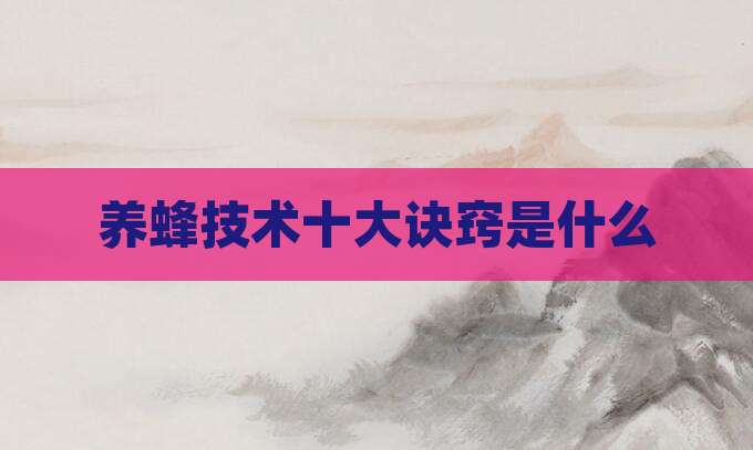 养蜂技术十大诀窍是什么