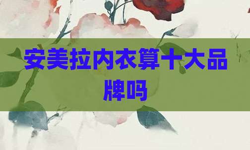 安美拉内衣算十大品牌吗