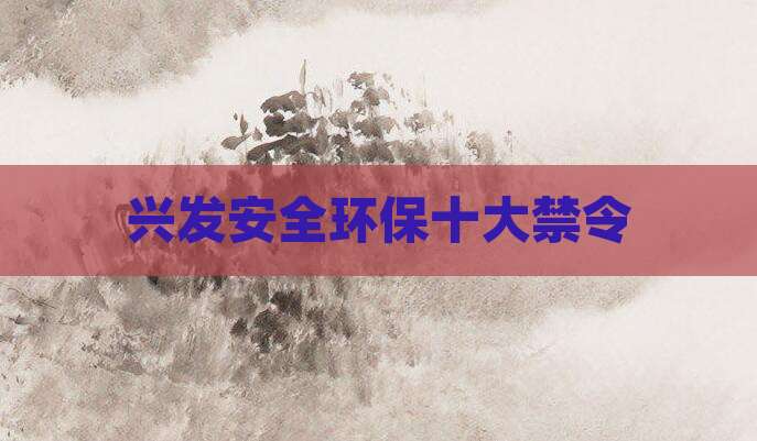 兴发安全环保十大禁令