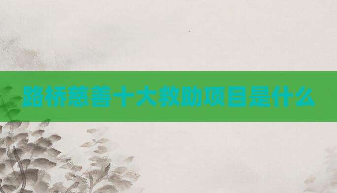 路桥慈善十大救助项目是什么