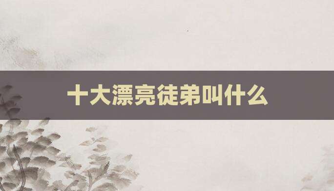 十大漂亮徒弟叫什么