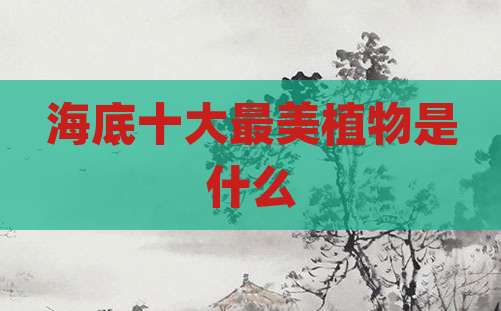 海底十大最美植物是什么