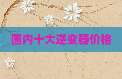 国内十大逆变器价格