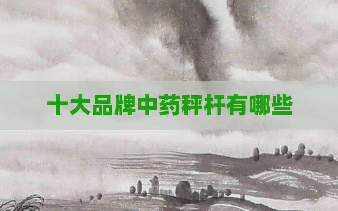 十大品牌中药秤杆有哪些