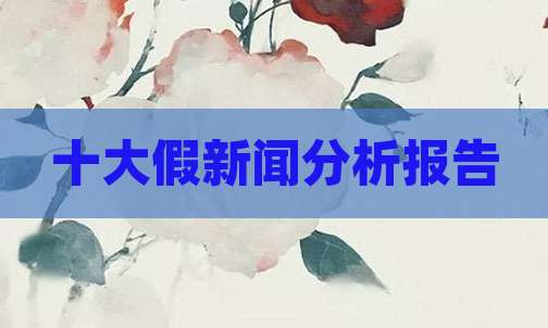 十大假新闻分析报告