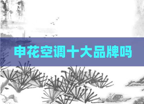 申花空调十大品牌吗