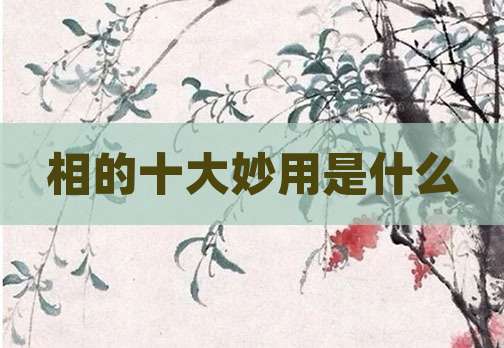 相的十大妙用是什么