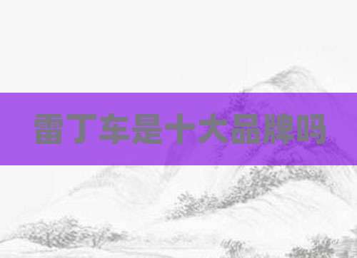 雷丁车是十大品牌吗