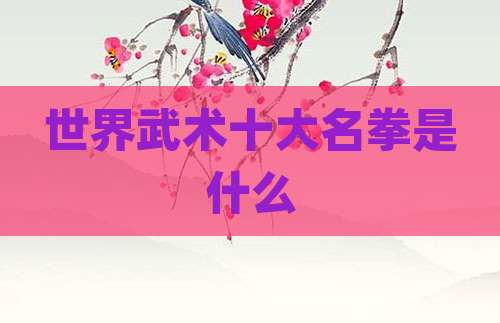 世界武术十大名拳是什么