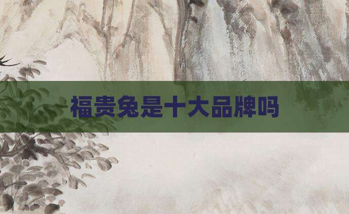 福贵兔是十大品牌吗