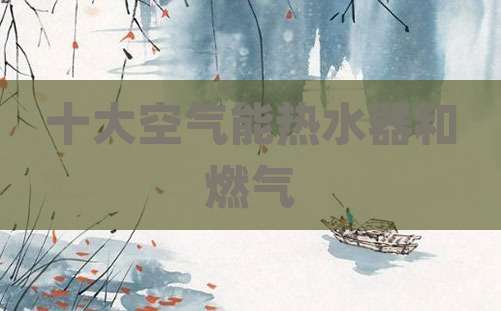 十大空气能热水器和燃气