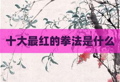 十大最红的拳法是什么