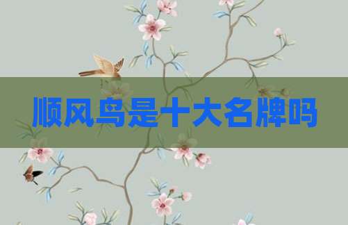 顺风鸟是十大名牌吗